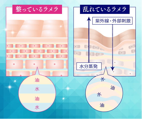肌のラメラ構造イラスト解説。整っているラメラと乱れているラメラ