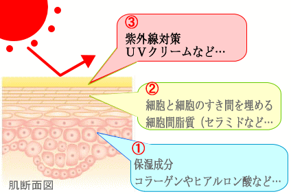 図解。アラフォースキンケア3つのポイント